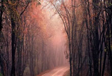 孙颖莎世界第一！国际乒联公布王楚钦、林诗栋、樊振东最新排名大皖新闻.