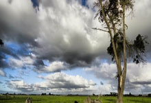 乐动体育：短道速滑世巡赛首尔站 中国队混合接力摘银央视体育.