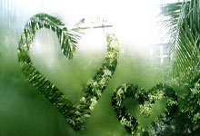 [球之夜]中国男：重燃信心 期待厦门主场.